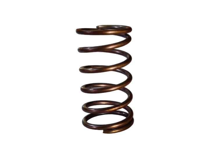CAR WASHER DELIVERY VALVE SPRING